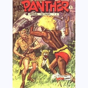 Dan Panther : n° 11, Le sosie