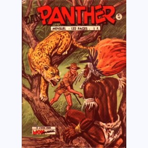 Dan Panther : n° 12, Le secret de la grande montagne