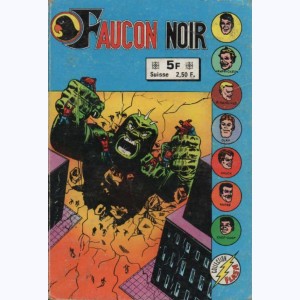 Faucon Noir (Album) : n° 5589, Recueil 5589 (01, 02)