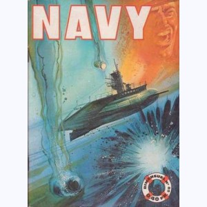 Navy : n° 82, Le dernier renseignement