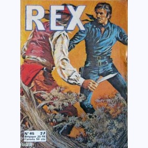 Rex : n° 45, Le trésor du Colonel "Poison"
