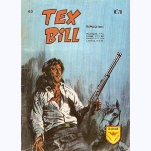 Tex Bill : n° 66, La passe du Diable