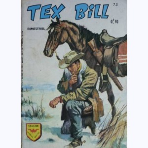 Tex Bill : n° 73, Deux fameux coquins