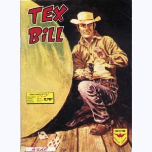 Tex Bill : n° 79, Le mystérieux cavalier