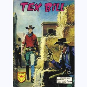 Tex Bill : n° 82, Prisonniers des sables