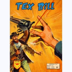 Tex Bill : n° 84, Le précipice de l'enfer