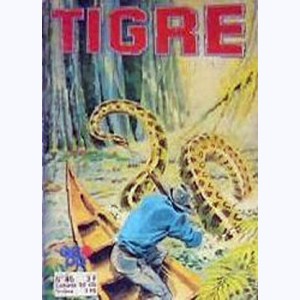 Tigre : n° 45, L'homme invisible