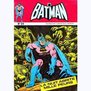 Batman et Robin : n° 24, La nuit abrite mille peurs.