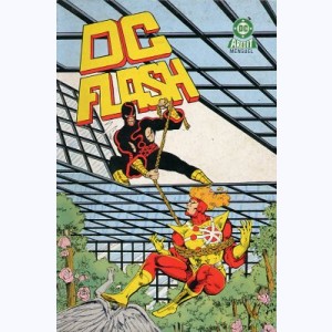 DC Flash : n° 13, Firestorm : Au bout du rouleau