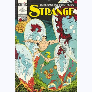 Strange : n° 273, L'Homme Araignée : La nuit du Renard