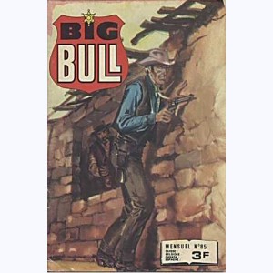 Big Bull : n° 85, Le cerveau de la bande