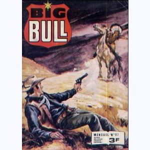 Big Bull : n° 97, Fuite vers le soleil