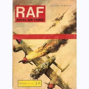 RAF : n° 2, Pour les couleurs de son drapeau