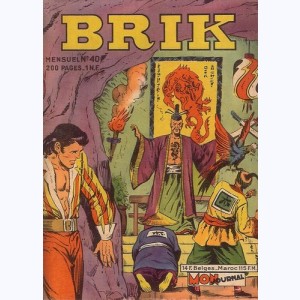 Brik : n° 40, Le dragon d'or