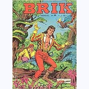 Brik : n° 60, Le trésor des Iles Canaries