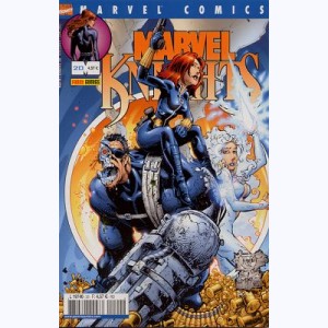 Marvel Knights : n° 20, Monde virtuel