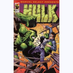 Marvel Select : n° 29, Hulk: La tempête s'annonce