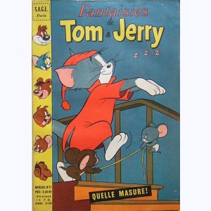 Fantaisies de Tom et Jerry : n° 21, Quelle masure !
