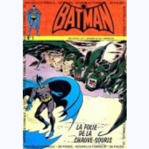 Série : Batman et Robin