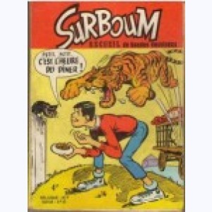 Série : Surboum (Album)